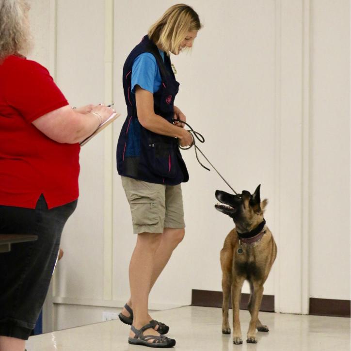A person standing beside a dog and holding its leash