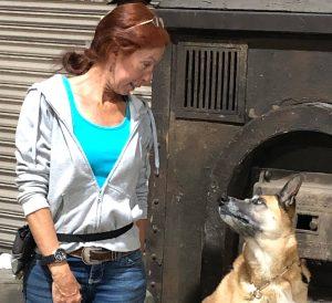 redhaired woman looking at chihuahua