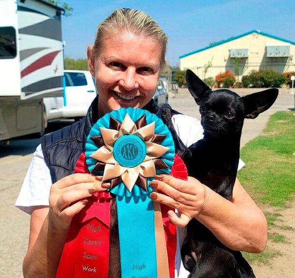 A person holding an AKC award ribbon and a black dog