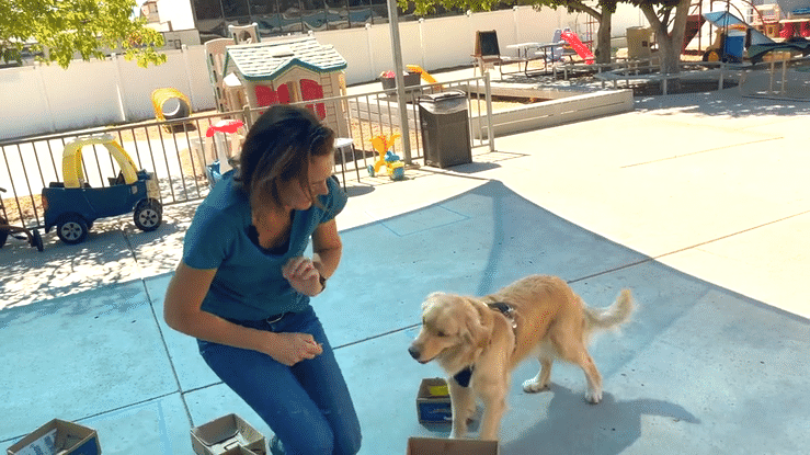 A gif of a trainer and a dog