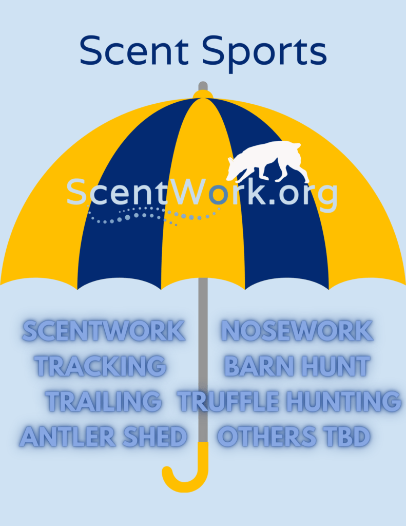 A poster about Scent Sports